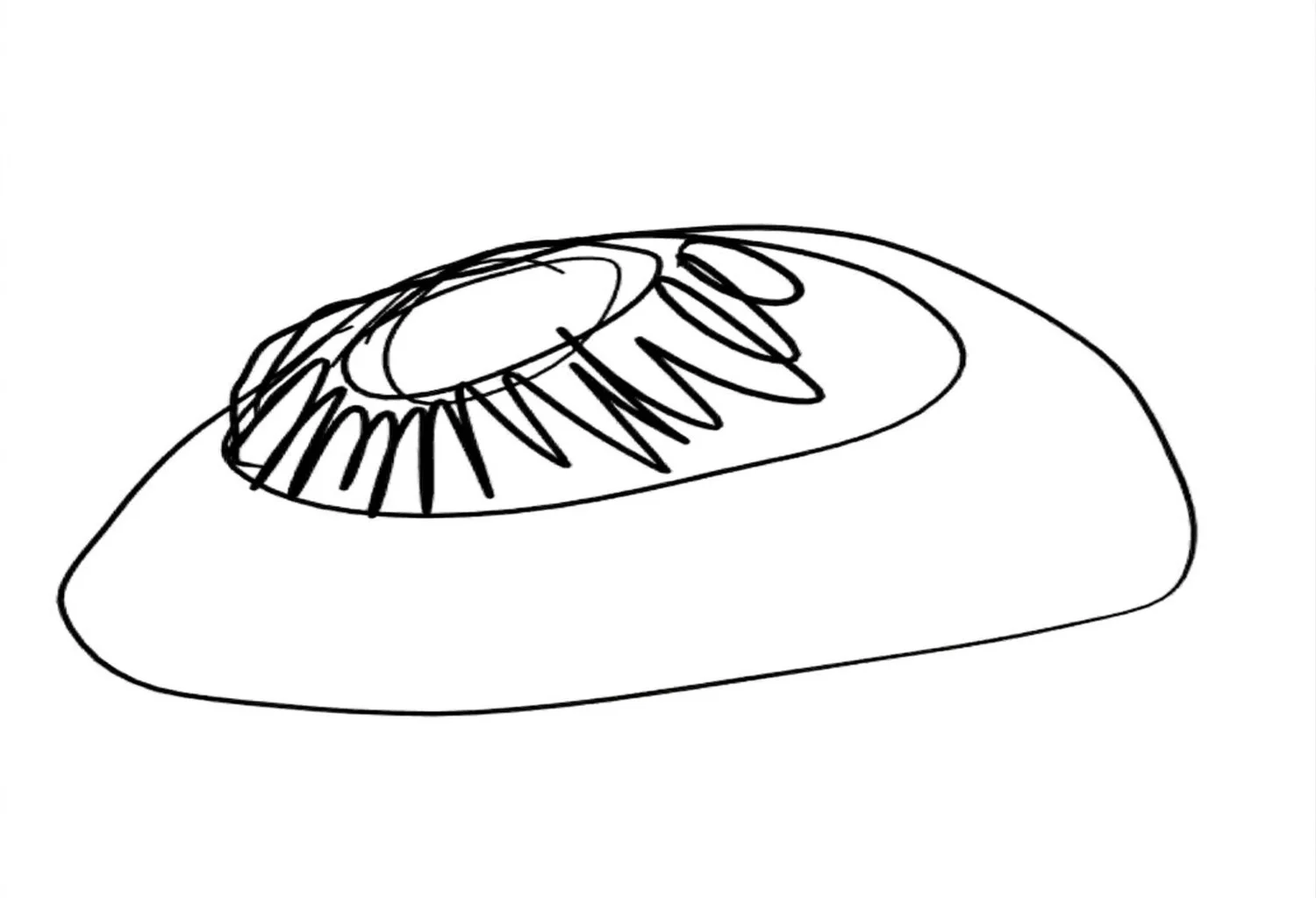 Study 19 — hand-drawn sketch