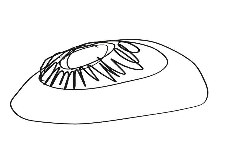 Firm black lines: a low dome with a ring of fins around an oculus
